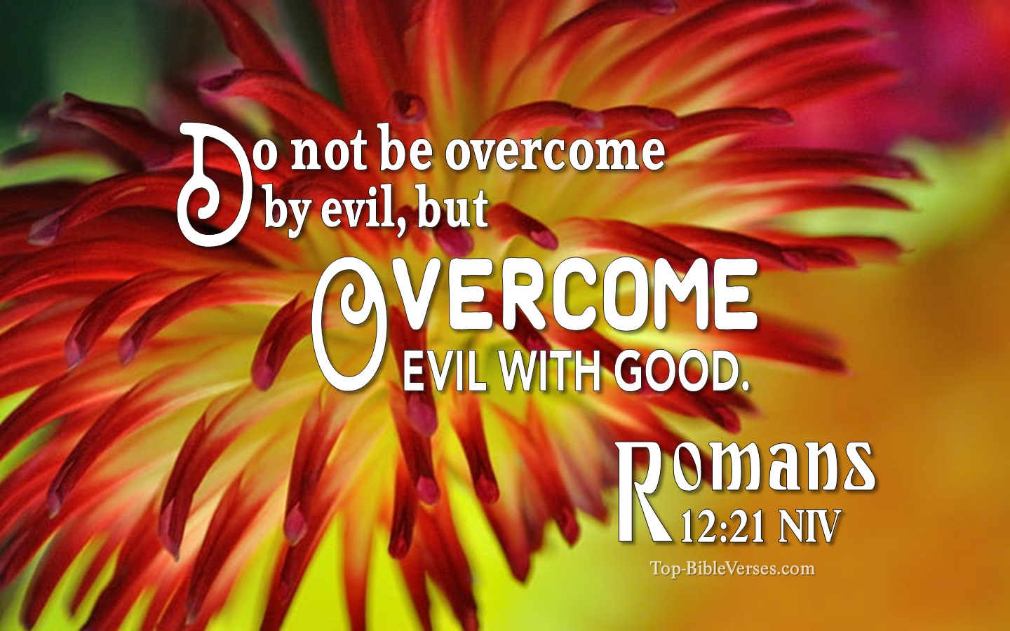 Romans 12:21 NIV Inspirational Bible Verse Images. Top-BibleVerses.com