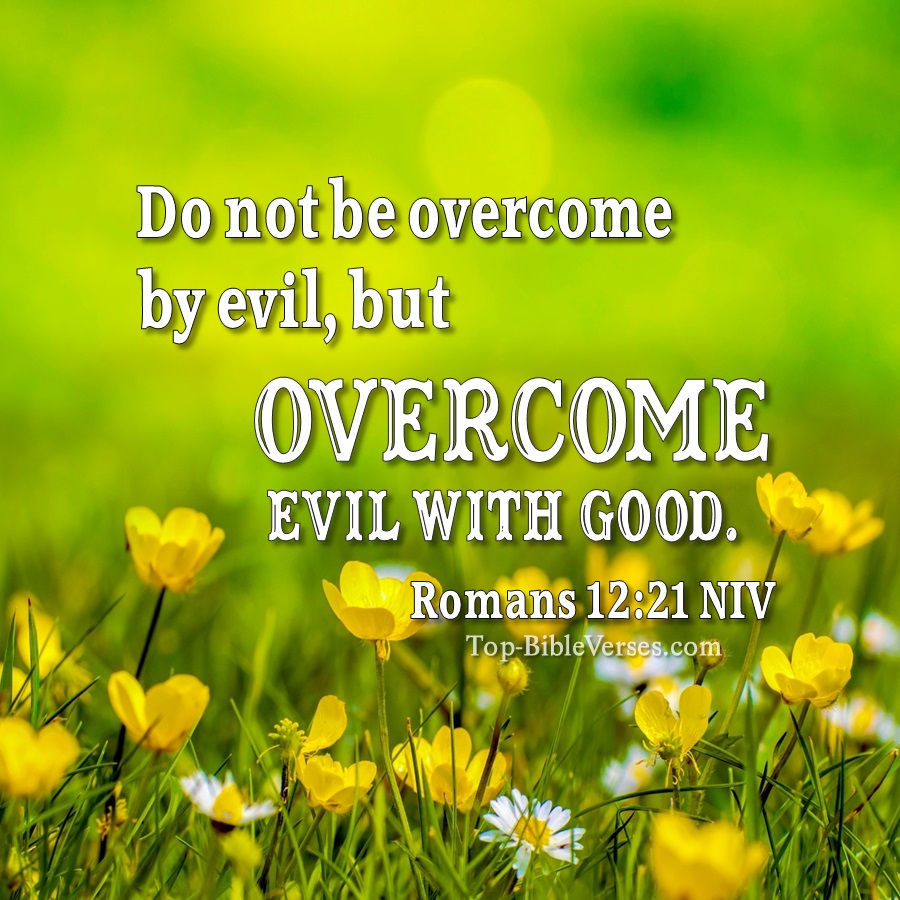 Romans 12:21 NIV WhatsApp DP Inspirational Bible Verse Images.