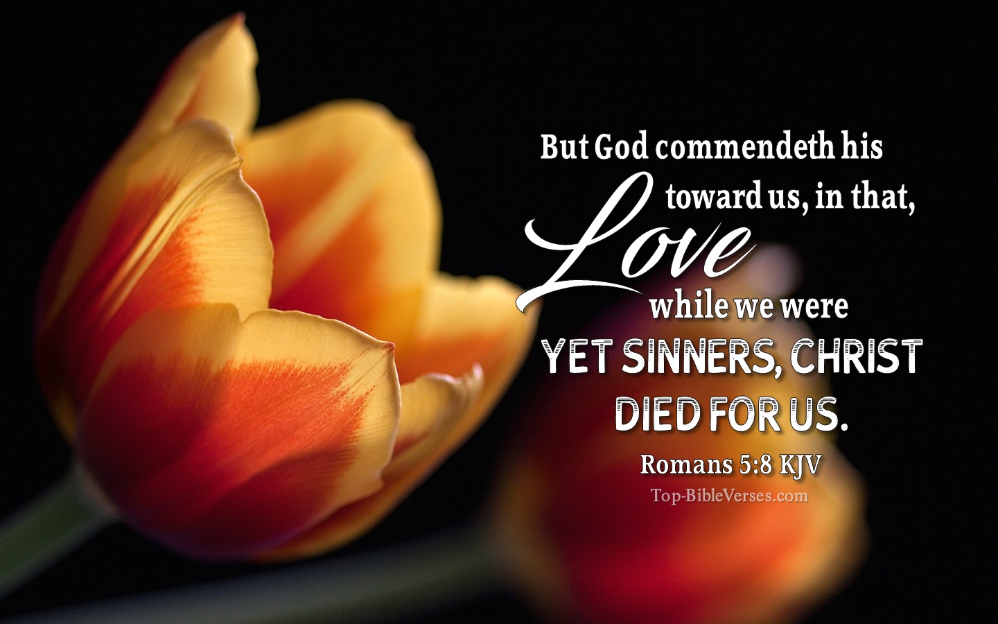Romans 5:8 KJV Christian Bible Verse Desktop Wallpaper. Top-BibleVerses.com