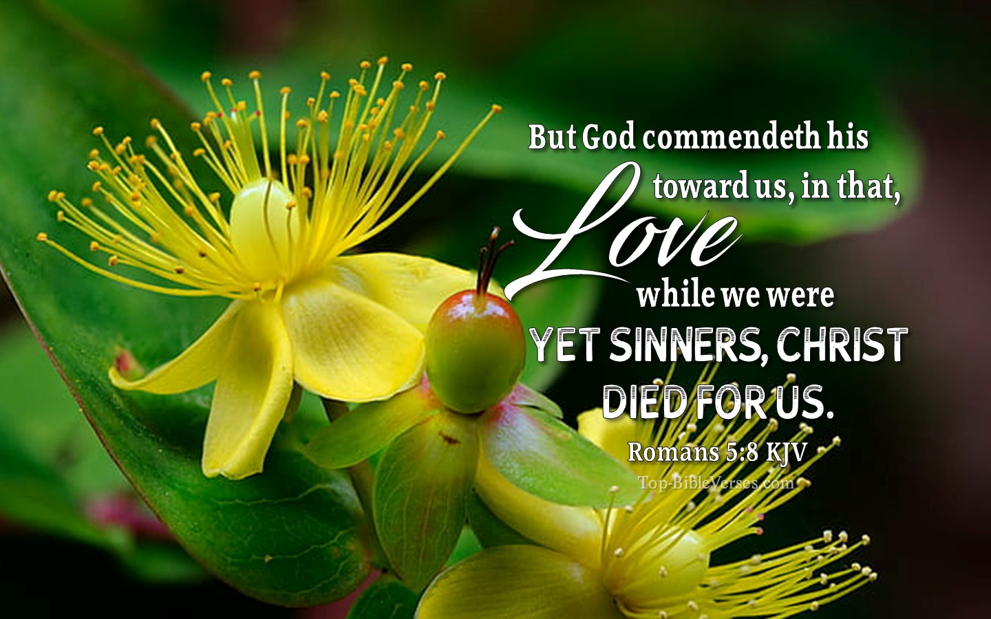 Romans 5:8 KJV Christian Bible Verse Desktop Wallpaper. Top-BibleVerses.com