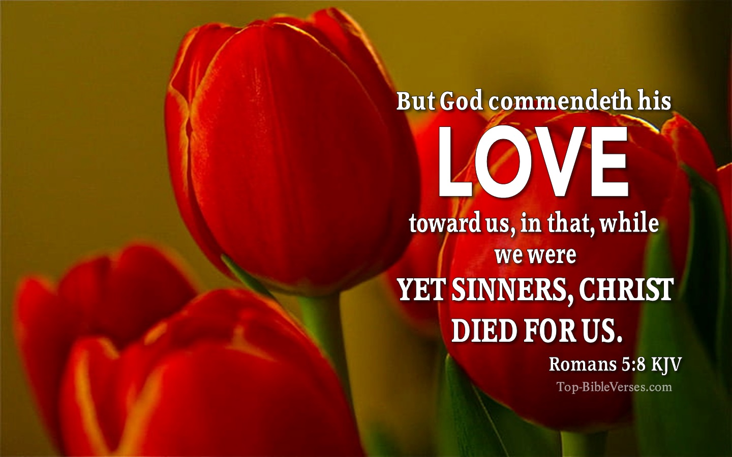 Romans 5:8 KJV Christian Bible Verse Desktop Wallpaper. Top-BibleVerses.com