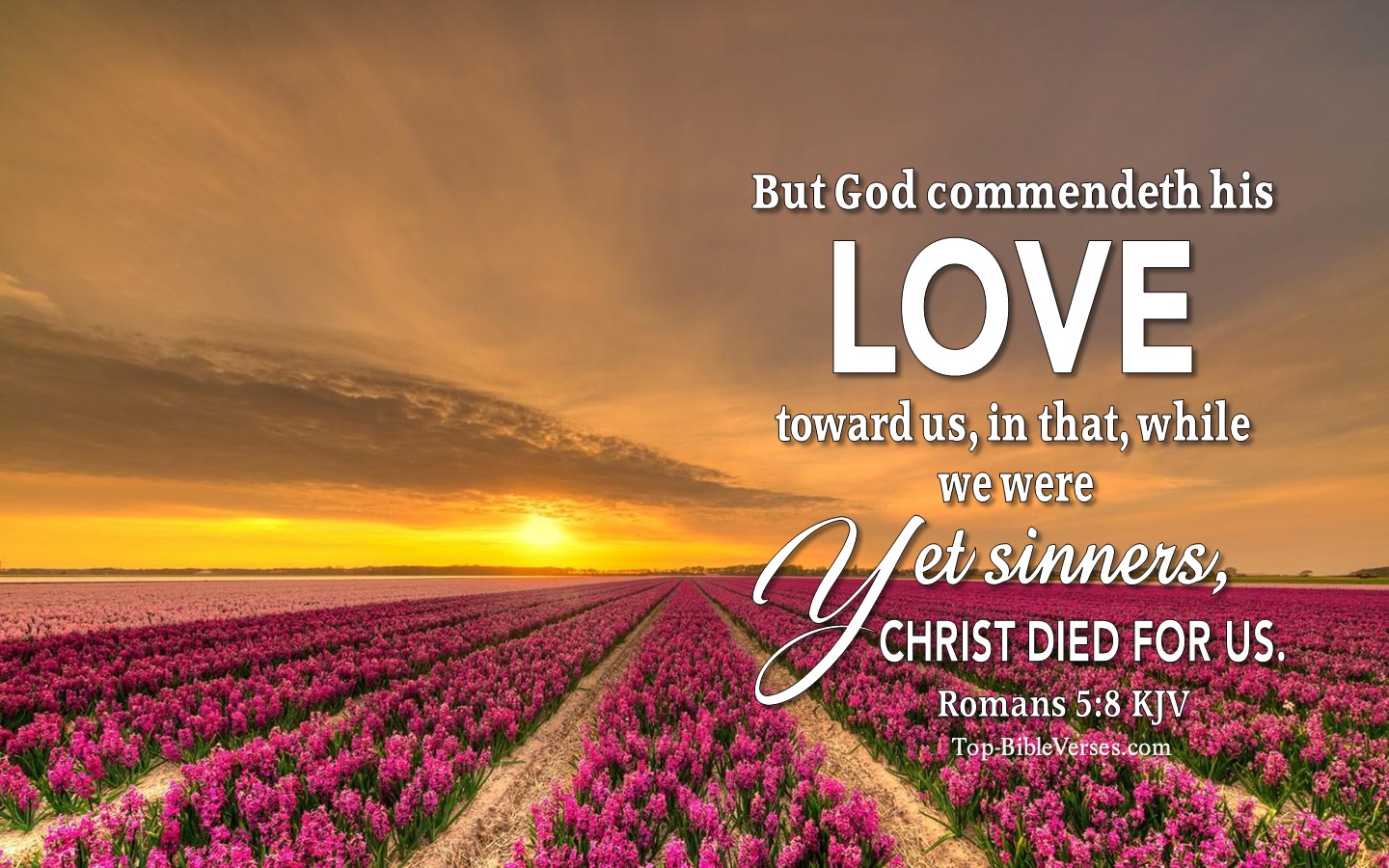 Romans 5:8 Christian Bible Verse Desktop Wallpapers