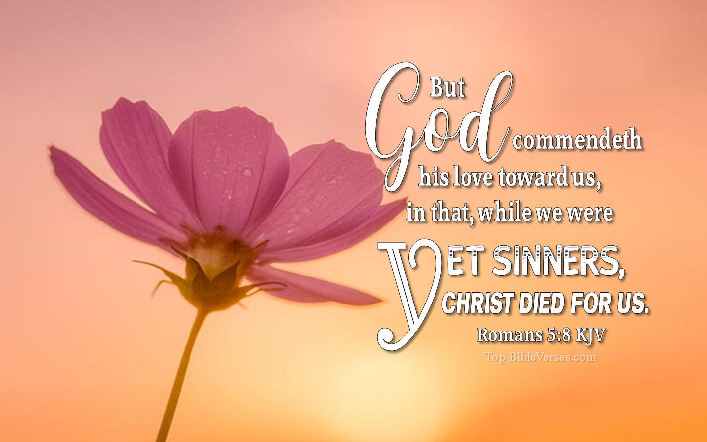 Romans 5:8 KJV Christian Bible Verse Desktop Wallpaper. Top-BibleVerses.com