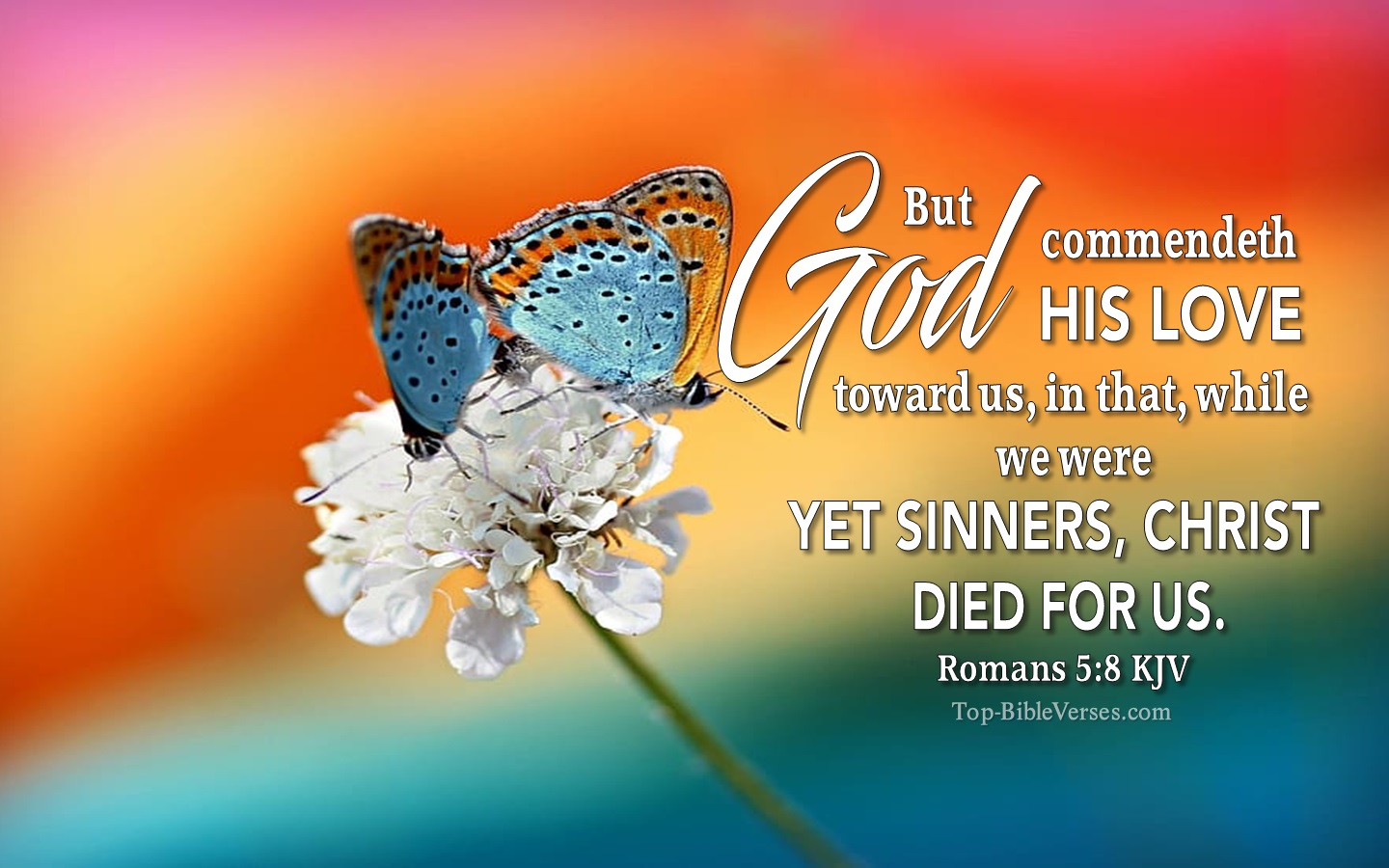 Romans 5:8 KJV Christian Bible Verse Desktop Wallpaper. Top-BibleVerses.com
