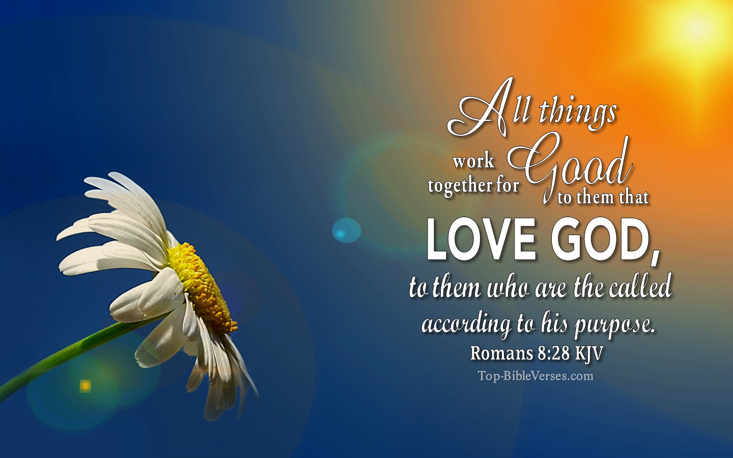 Romans 8:28 KJV Christian Bible Verse Desktop Wallpaper. Top-BibleVerses.com