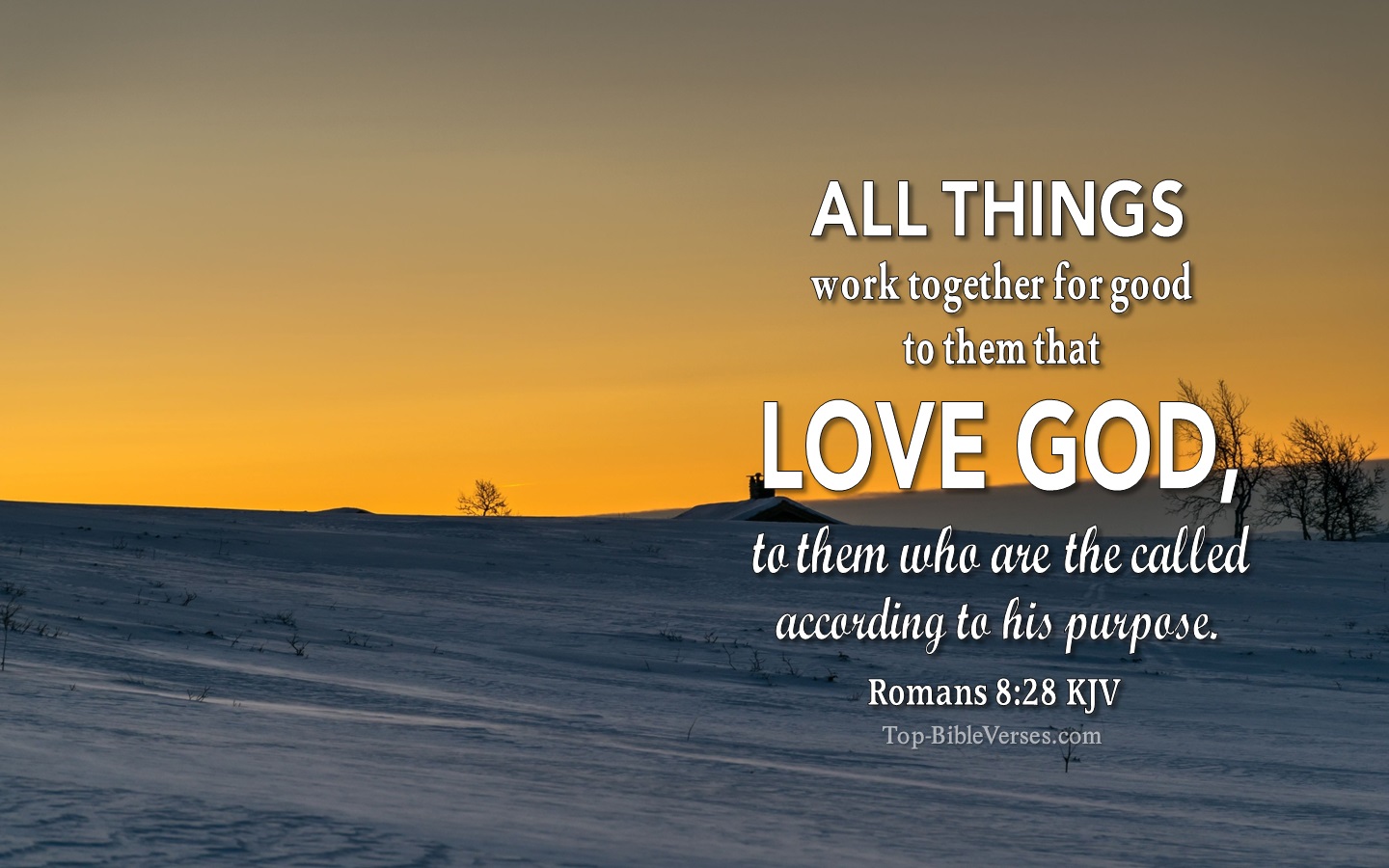 Romans 8:28 KJV Christian Bible Verse Desktop Wallpaper. Top-BibleVerses.com