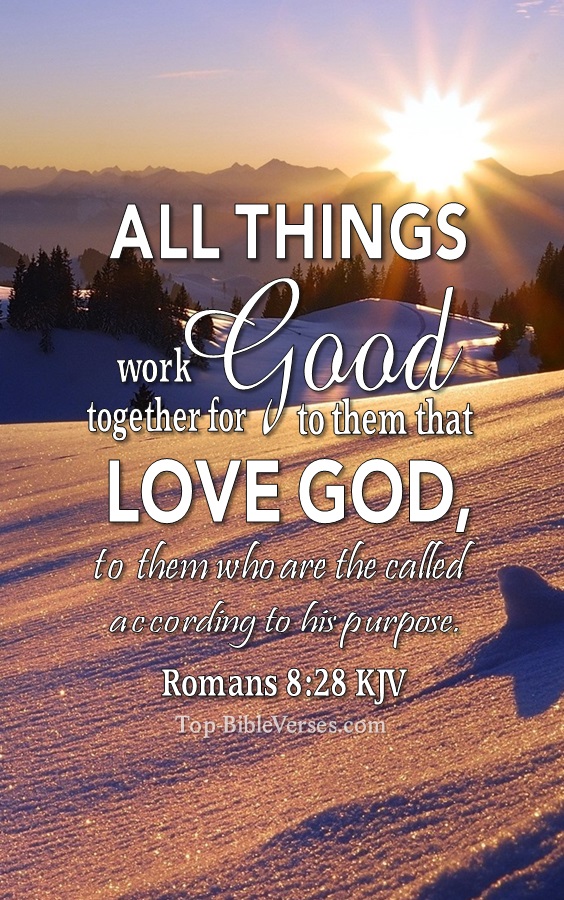 Romans 8:28 KJV Christian Bible Verse Mobile Wallpaper. Top-BibleVerses.com
