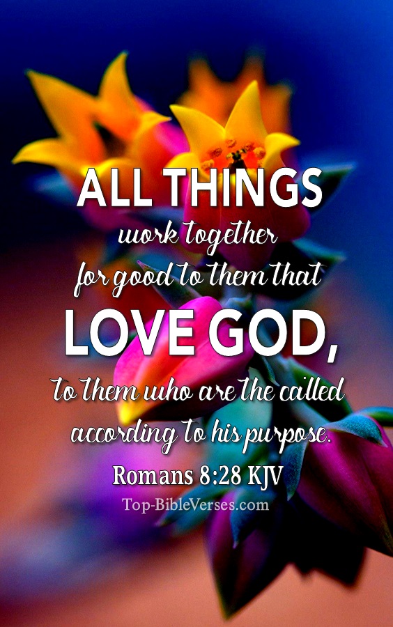 Romans 8:28 KJV Christian Bible Verse Mobile Wallpaper. Top-BibleVerses.com