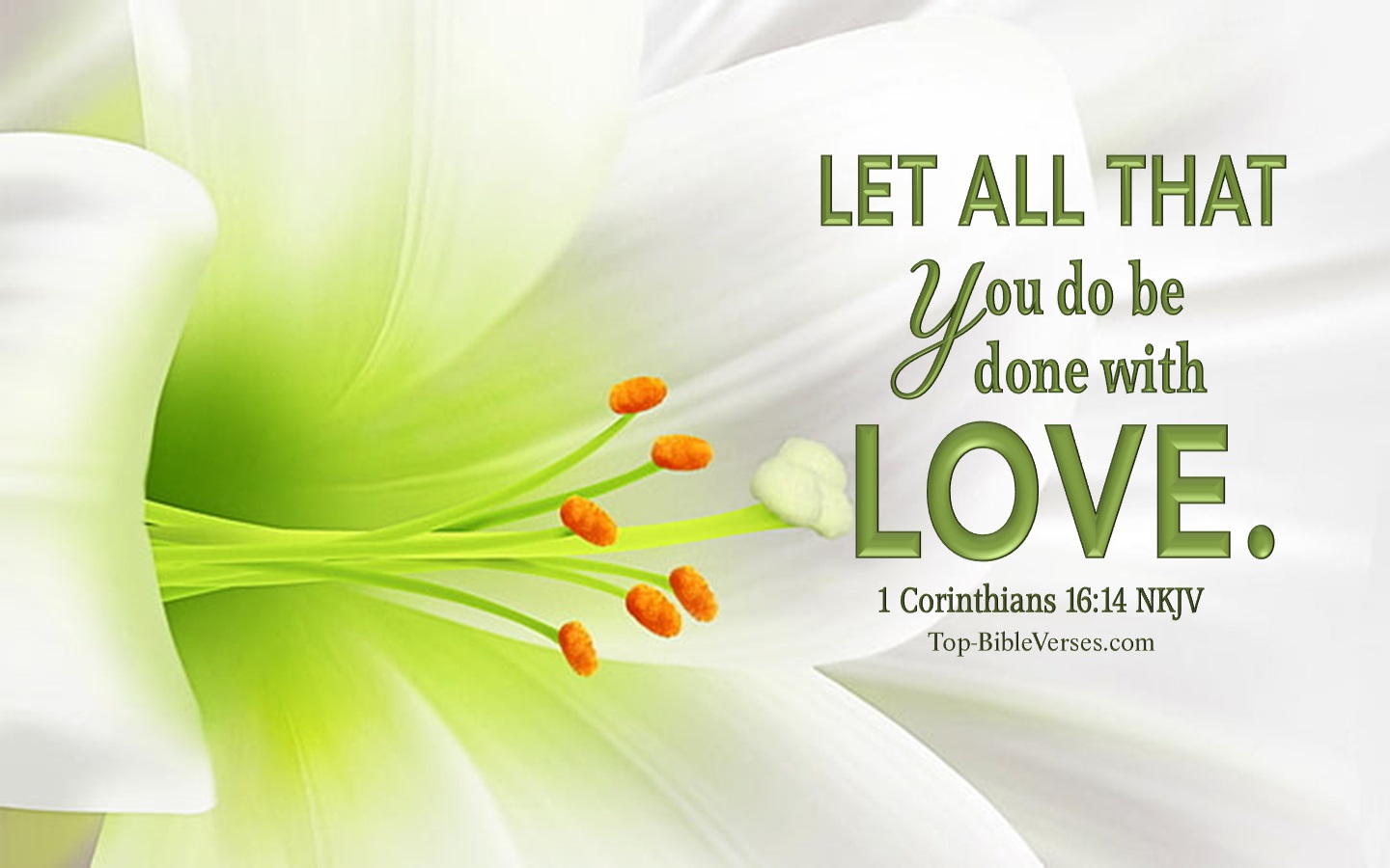 1 Corinthians 16:14 NKJV Christian Bible Verse Desktop Wallpaper. Top-BibleVerses.com
