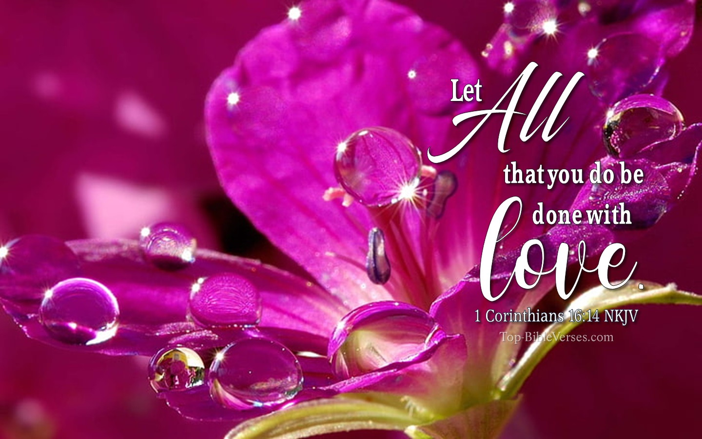 1 Corinthians 16:14 NKJV Christian Bible Verse Desktop Wallpaper. Top-BibleVerses.com