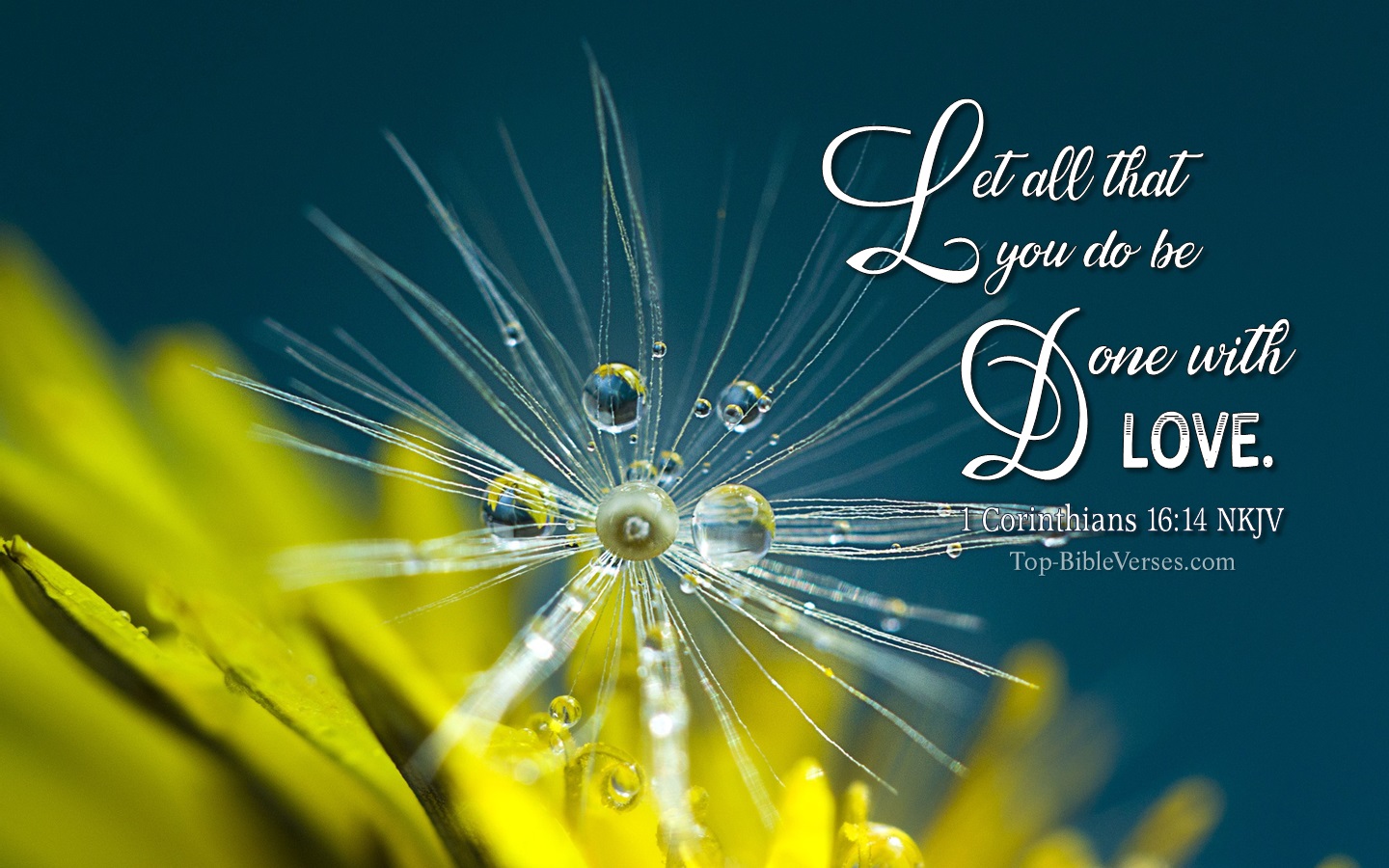 1 Corinthians 16:14 NKJV Christian Bible Verse Desktop Wallpaper. Top-BibleVerses.com