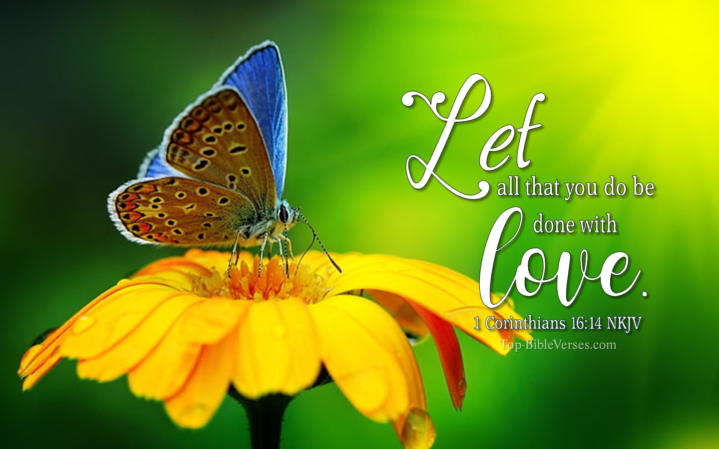 1 Corinthians 16:14 NKJV Christian Bible Verse Desktop Wallpaper. Top-BibleVerses.com