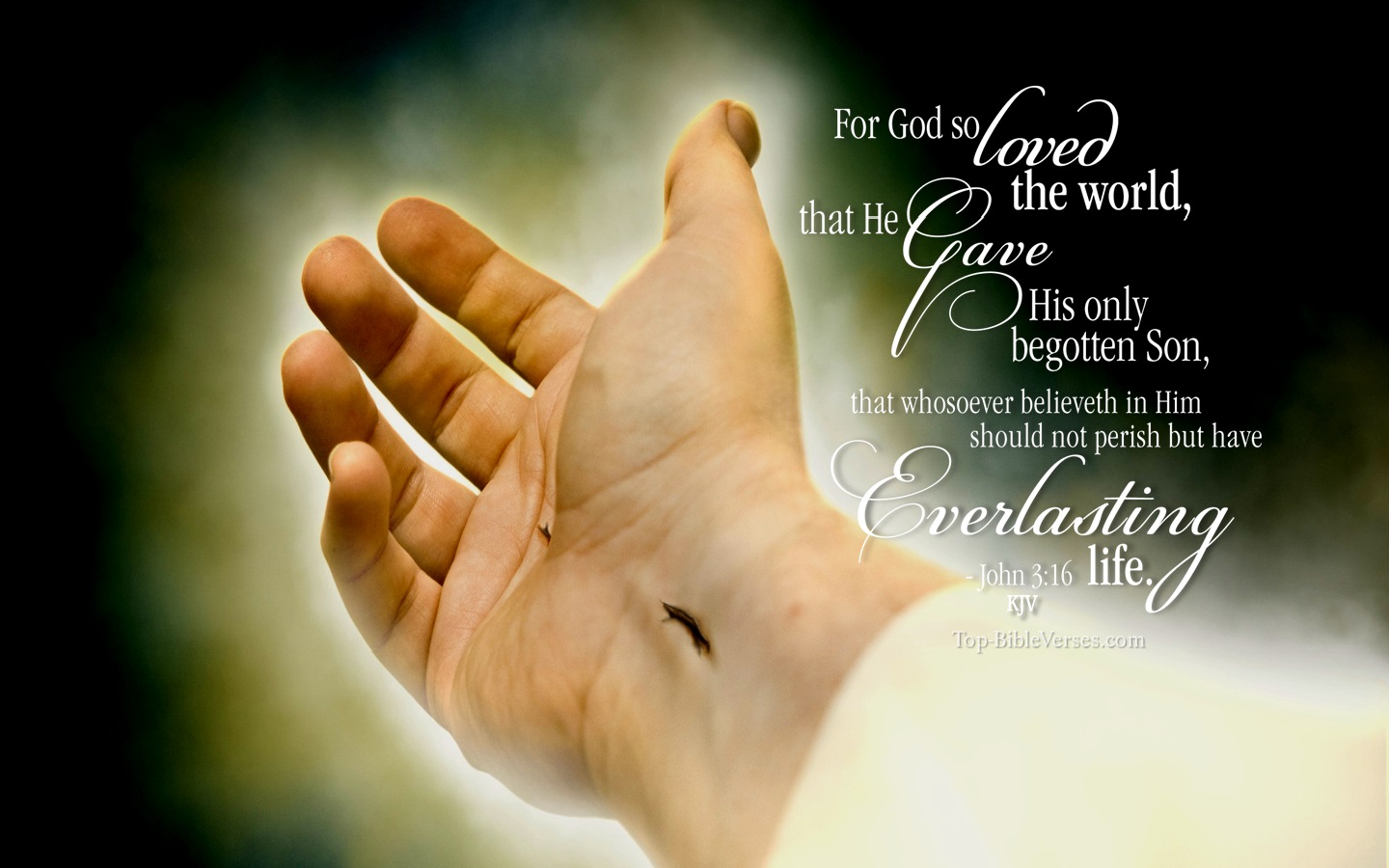 John 3:16 KJV Christian Bible Verse Desktop Wallpaper. Top-BibleVerses.com