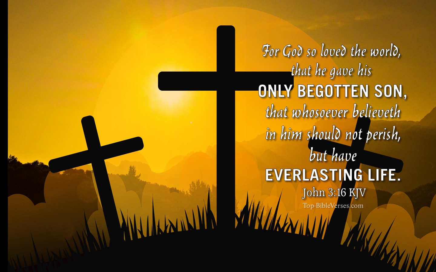 John 3:16 KJV Christian Bible Verse Desktop Wallpaper. Top-BibleVerses.com