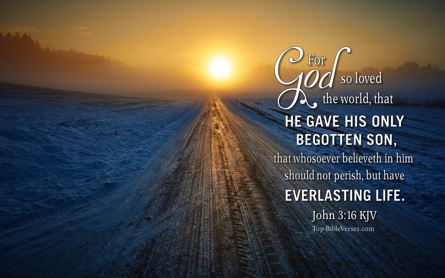 John 3:16 KJV Christian Bible Verse Desktop Wallpaper. Top-BibleVerses.com