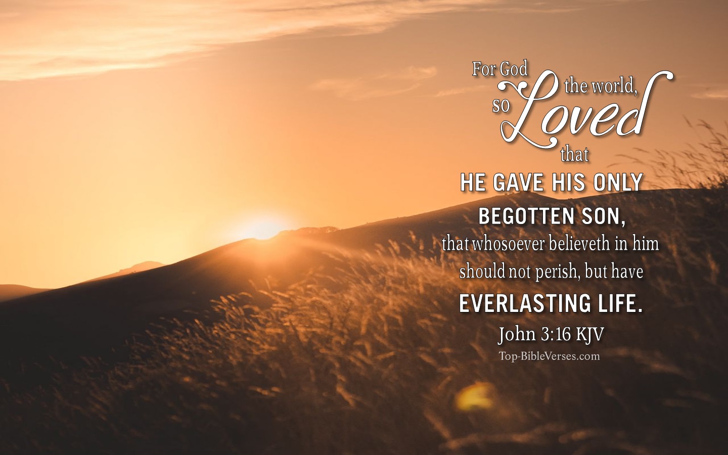 John 3:16 KJV Christian Bible Verse Desktop Wallpaper. Top-BibleVerses.com