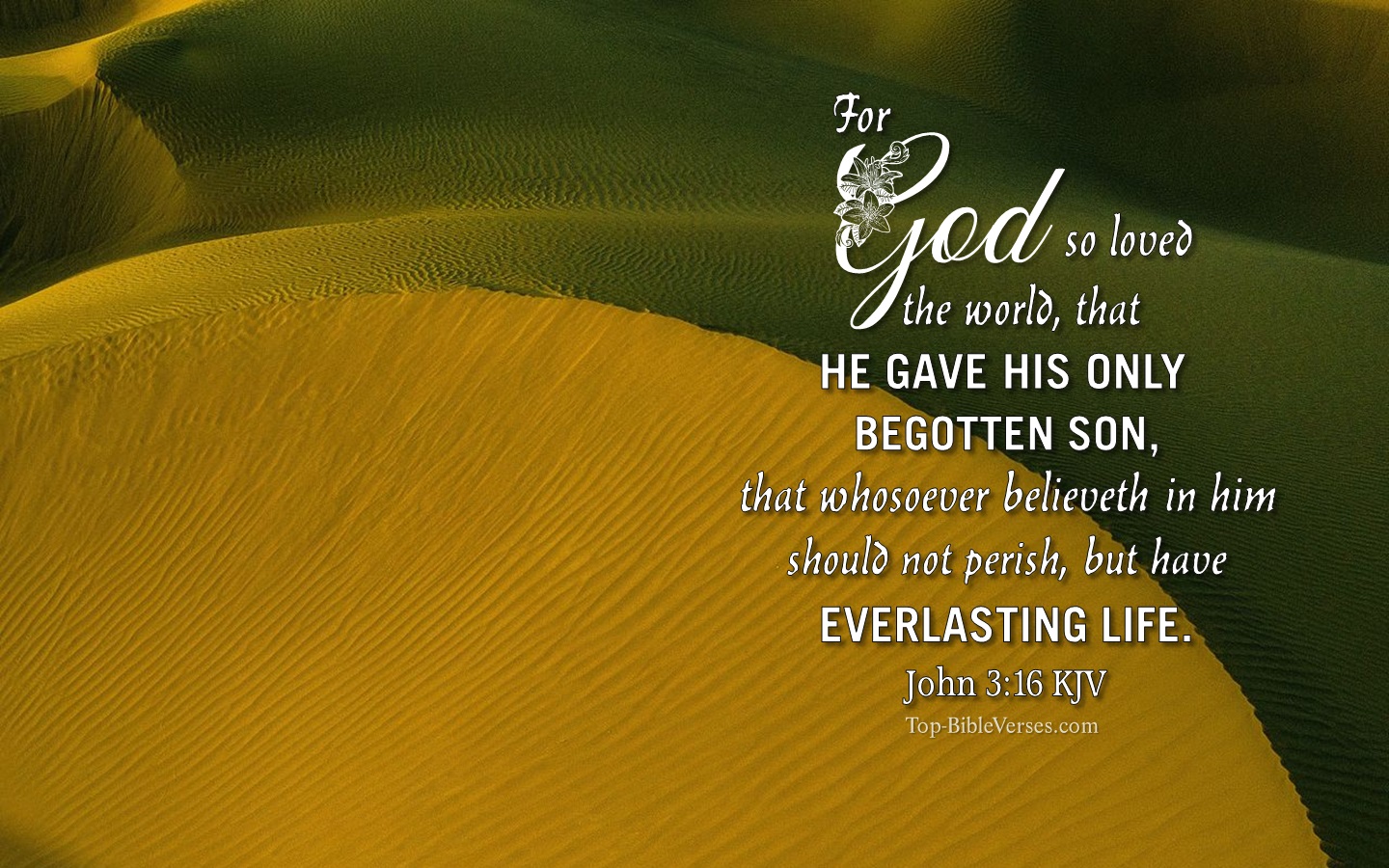 John 3:16 KJV Christian Bible Verse Desktop Wallpaper. Top-BibleVerses.com