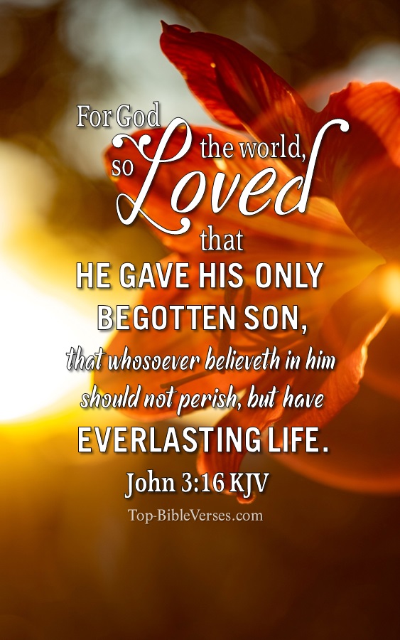 John 3:16 KJV Christian Bible Verse Mobile Wallpaper. Top-BibleVerses.com