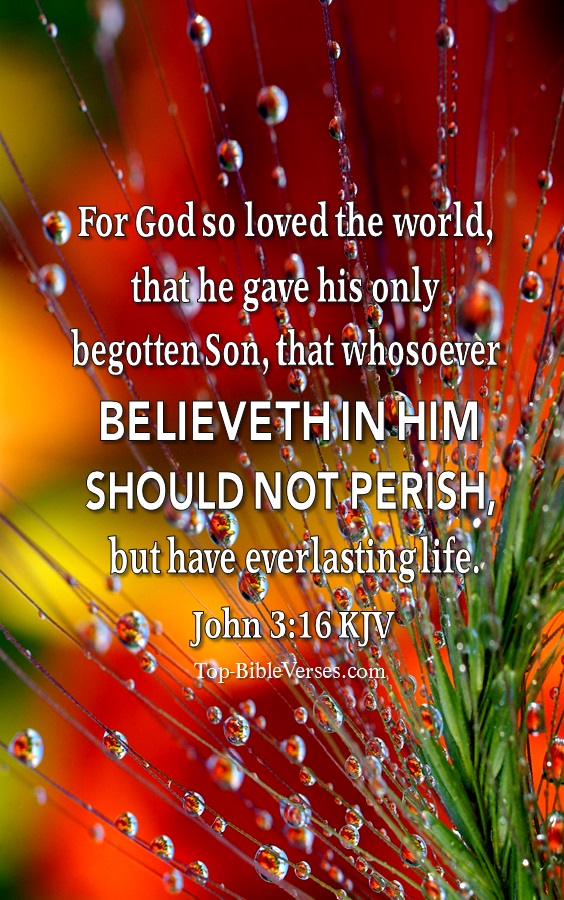 John 3:16 KJV Christian Bible Verse Mobile Wallpaper. Top-BibleVerses.com
