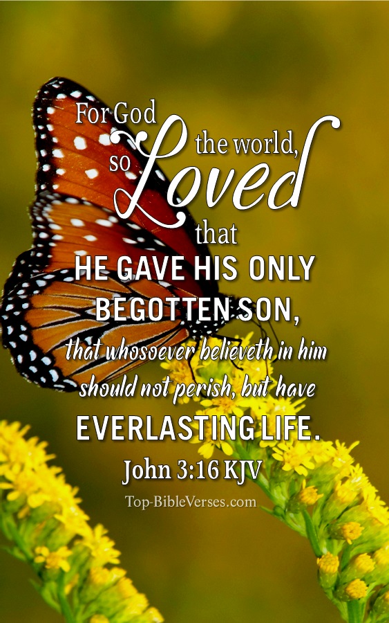John 3:16 KJV Christian Bible Verse Mobile Wallpaper. Top-BibleVerses.com