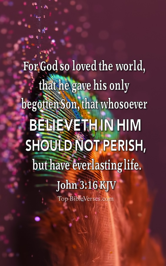 John 3:16 KJV Christian Bible Verse Mobile Wallpaper. Top-BibleVerses.com