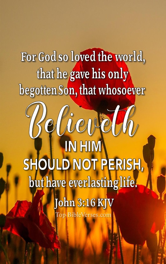 John 3:16 KJV Christian Bible Verse Mobile Wallpaper. Top-BibleVerses.com