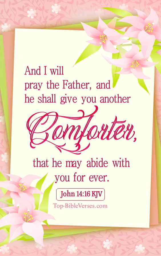 John 14:16 KJV - And I will pray the Father, and he shall give you another Comforter, that he may abide with you for ever.