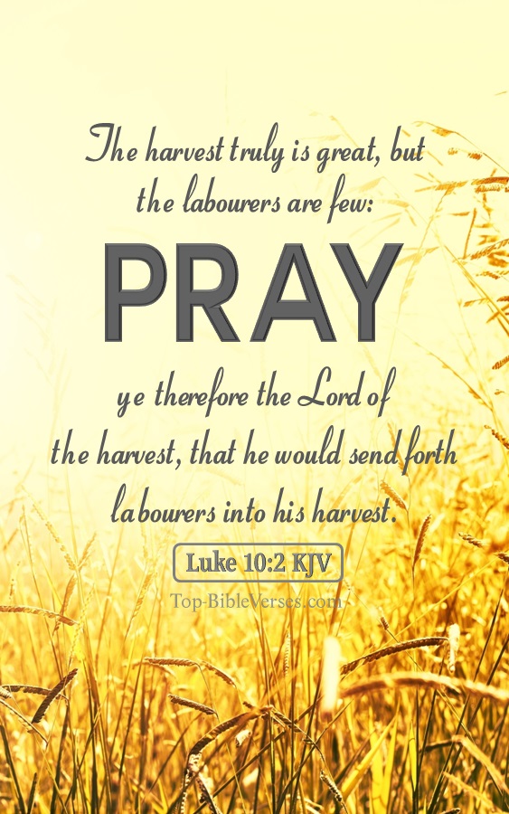 Luke 10:2 KJV - Therefore said he unto them, The harvest truly is great, but the labourers are few: pray ye therefore the Lord of the harvest, that he would send forth labourers into his harvest.