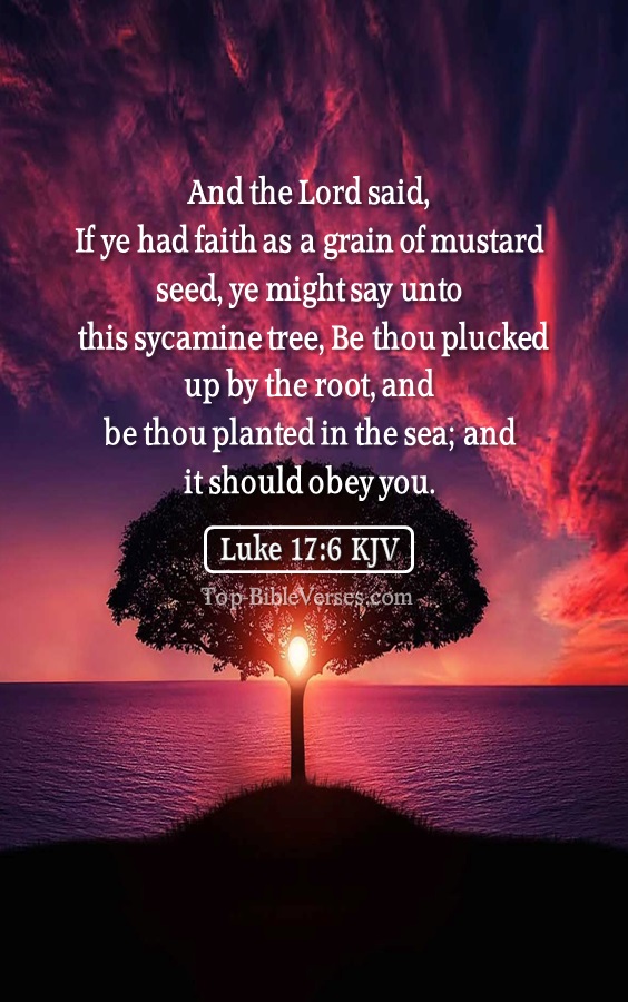 Luke 17:6 KJV - And the Lord said, If ye had faith as a grain of mustard seed, ye might say unto this sycamine tree, Be thou plucked up by the root, and be thou planted in the sea; and it should obey you.