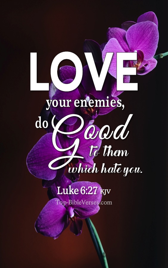 Luke 6:27 KJV Bible Verse Images