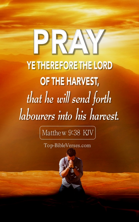 Matthew 9:38 KJV - Pray ye therefore the Lord of the harvest, that he will send forth labourers into his harvest.