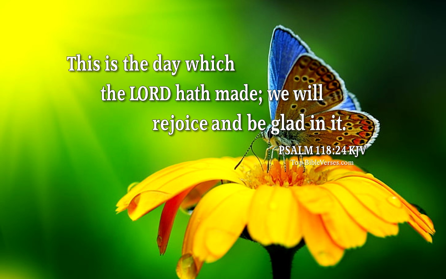 Psalm 118:24 KJV Inspirational Bible Verse Images | Bible Quotes