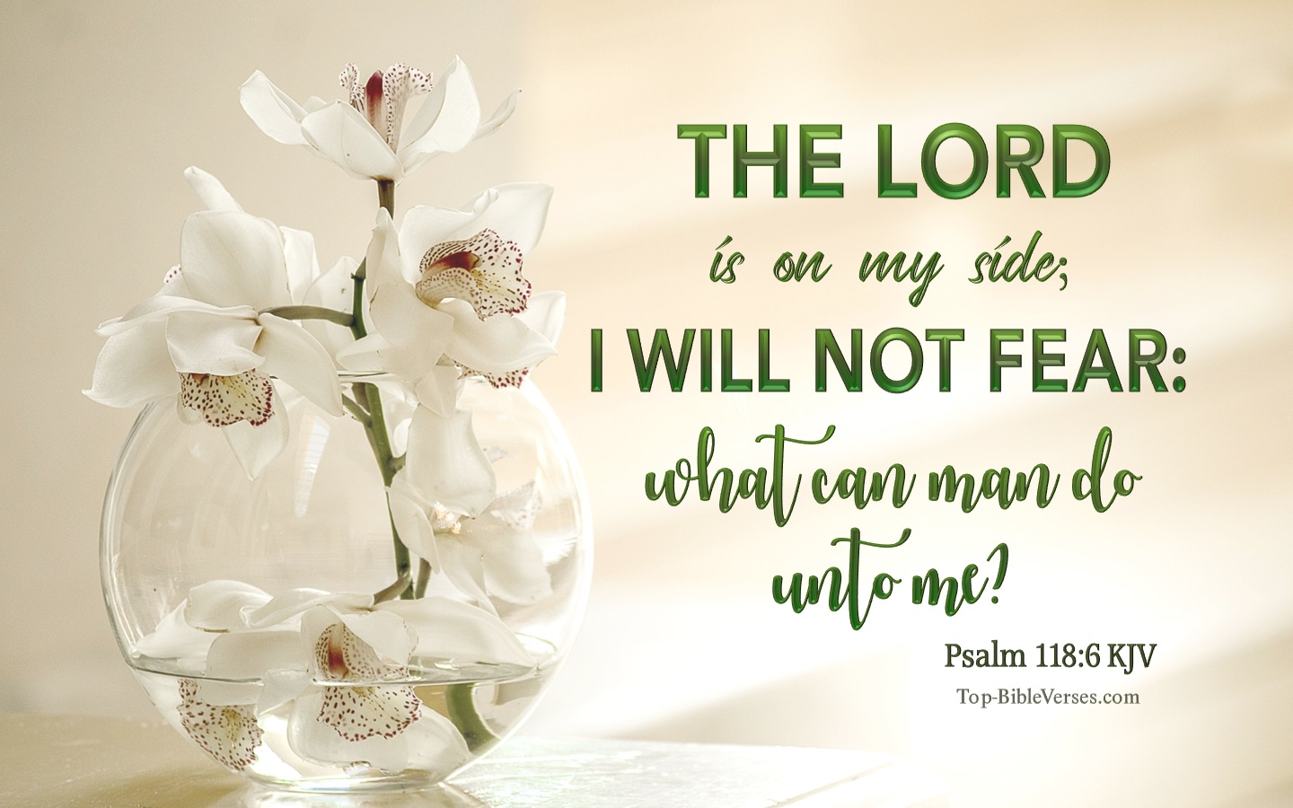 Psalm 118:6 KJV Bible Verse Images