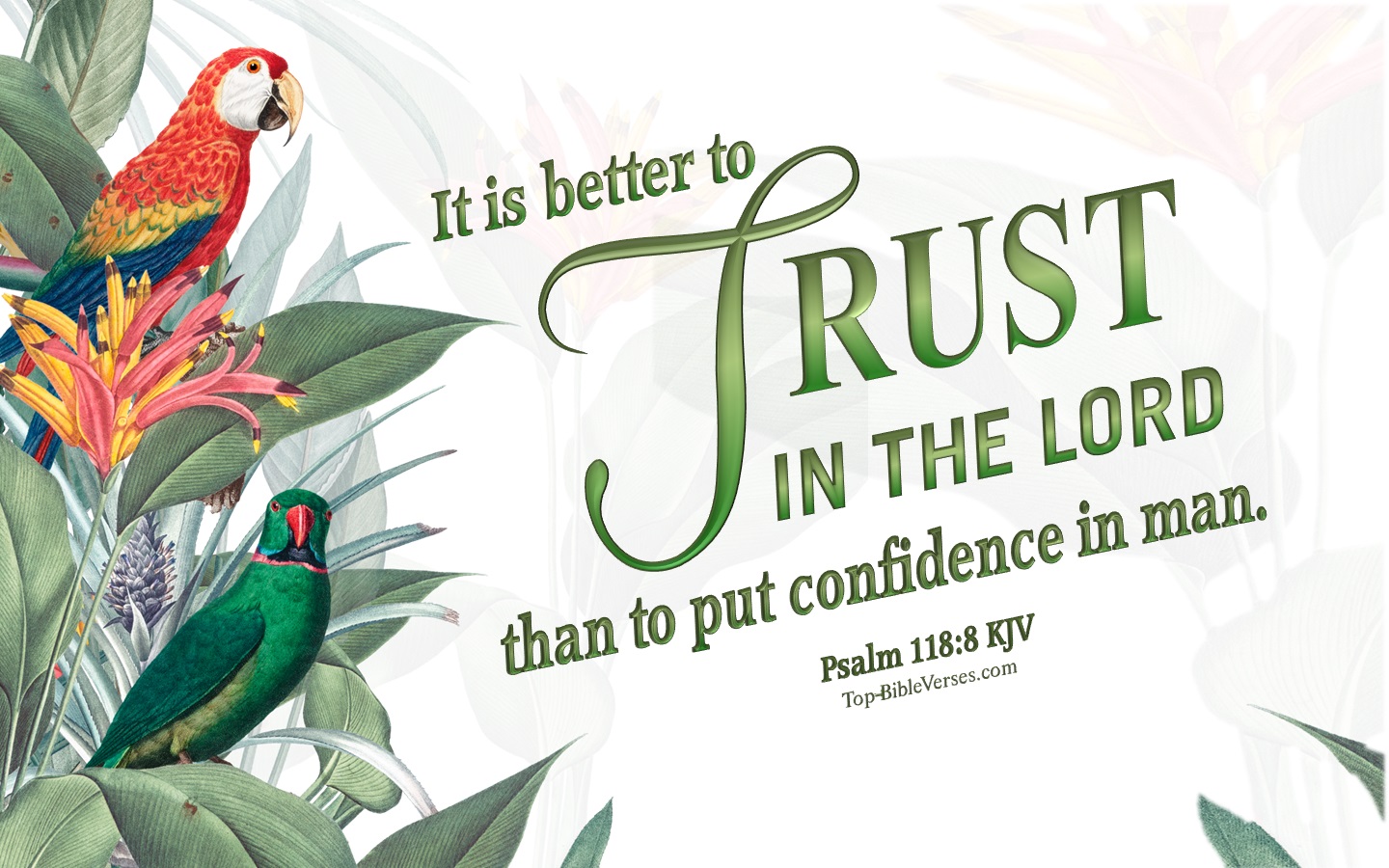 It is better to trust in the LORD than to put confidence in man. - Bible Verse Images