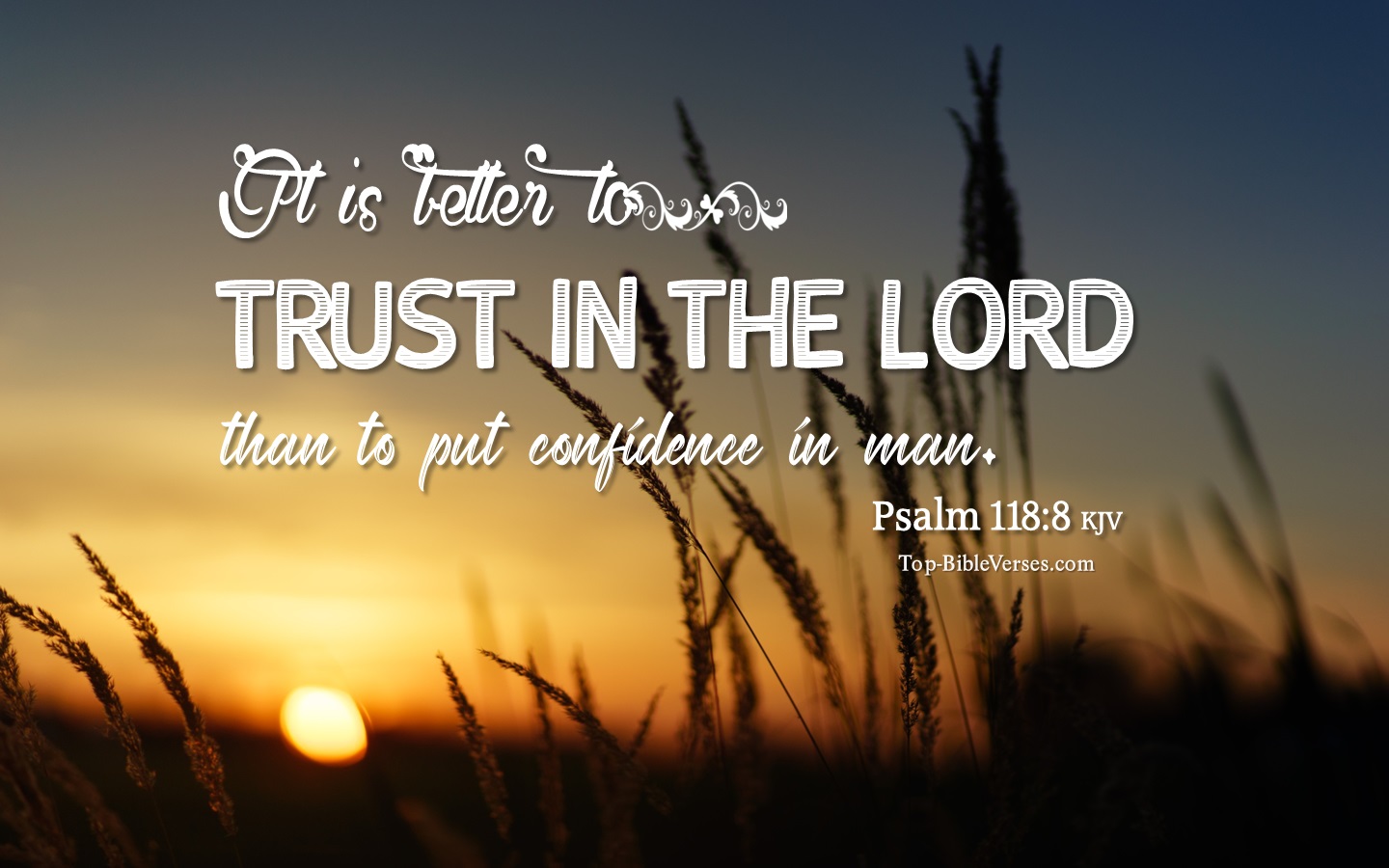 Psalm 118:8 KJV Bible Quotes And Images