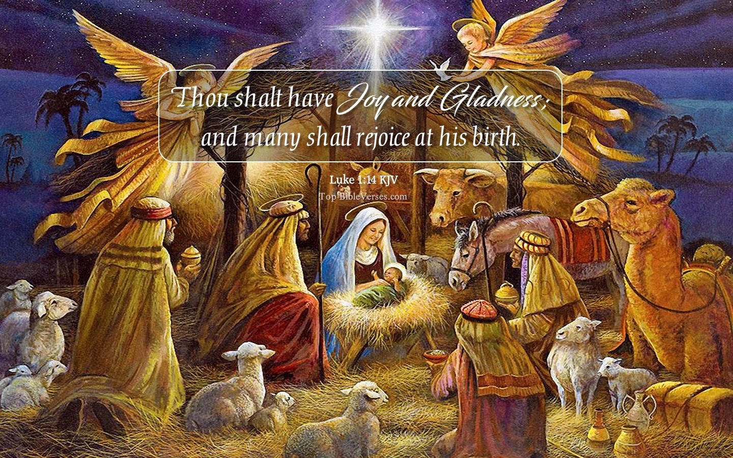 Luke 1:14 KJV - And thou shalt have joy and gladness; and many shall rejoice at his birth. Christmas Bible Verse Images. Christmas Wallpapers.