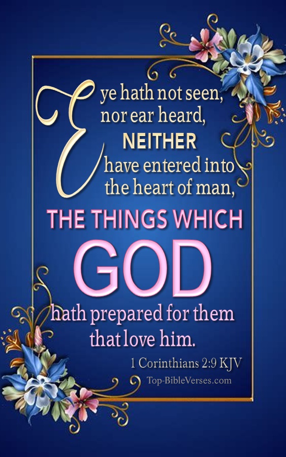 1 Corinthians 2:9 KJV - But as it is written, Eye hath not seen, nor ear heard, neither have entered into the heart of man, the things which God hath prepared for them that love him.