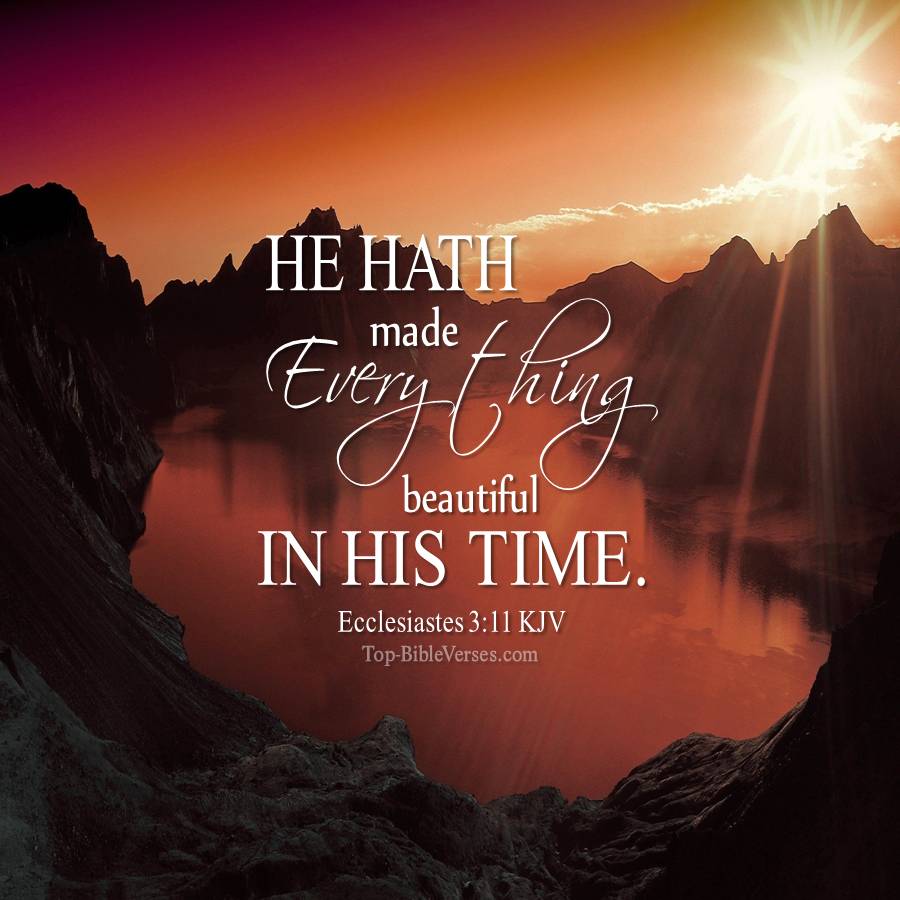 Ecclesiastes 3-11 KJV WhatsApp DP Inspirational Bible Verse Images.