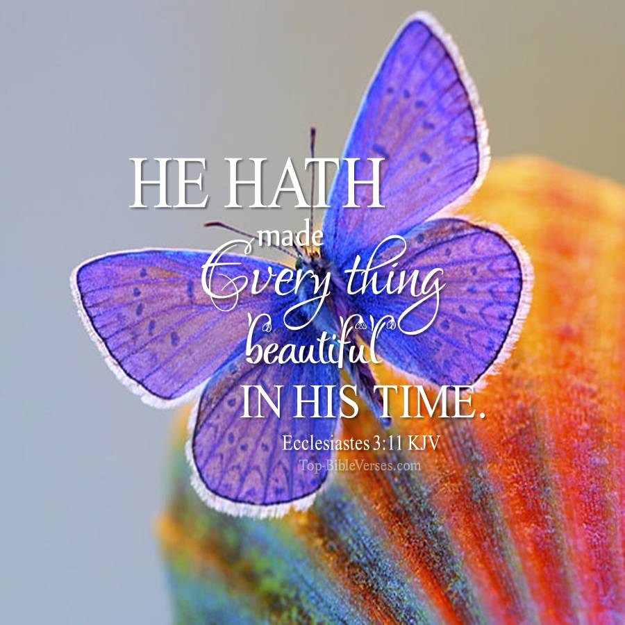 Ecclesiastes 3-11 KJV WhatsApp DP Inspirational Bible Verse Images.