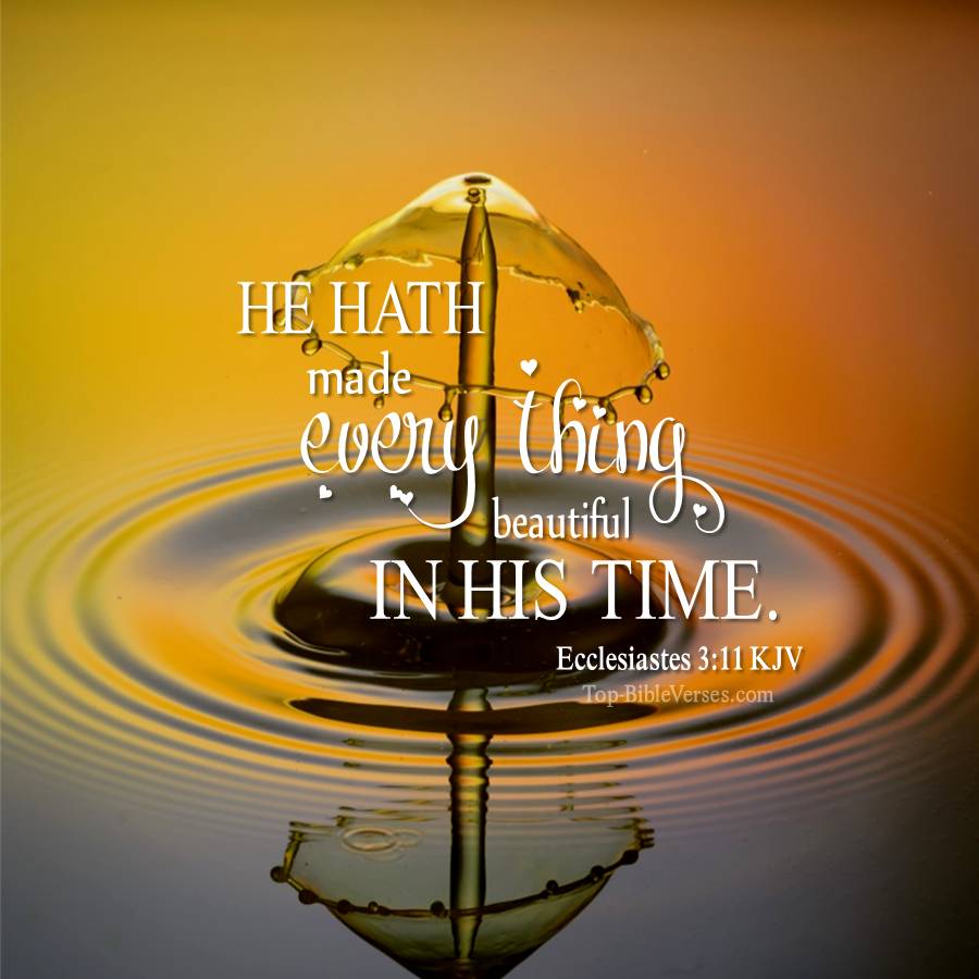 Ecclesiastes 3-11 KJV WhatsApp DP Inspirational Bible Verse Images.