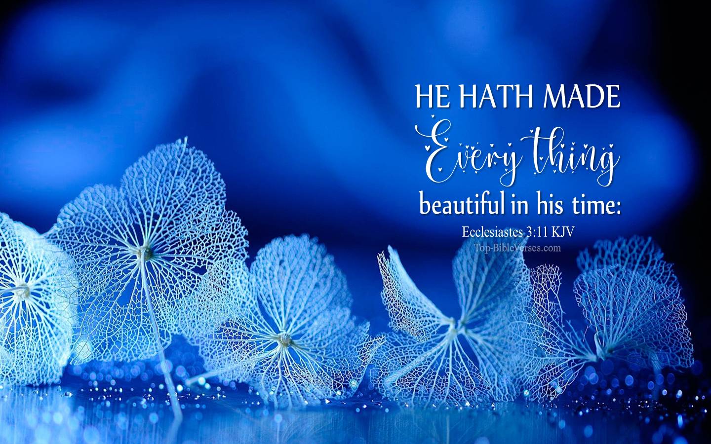 Ecclesiastes 3-11 KJV Christian Bible Verse Desktop Wallpaper. Top-BibleVerses.com