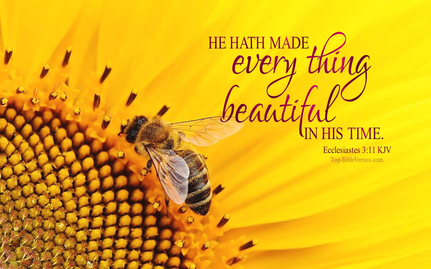 Ecclesiastes 3-11 - He hath made every thing beautiful in his time. KJV Christian Bible Verse Desktop Wallpaper.