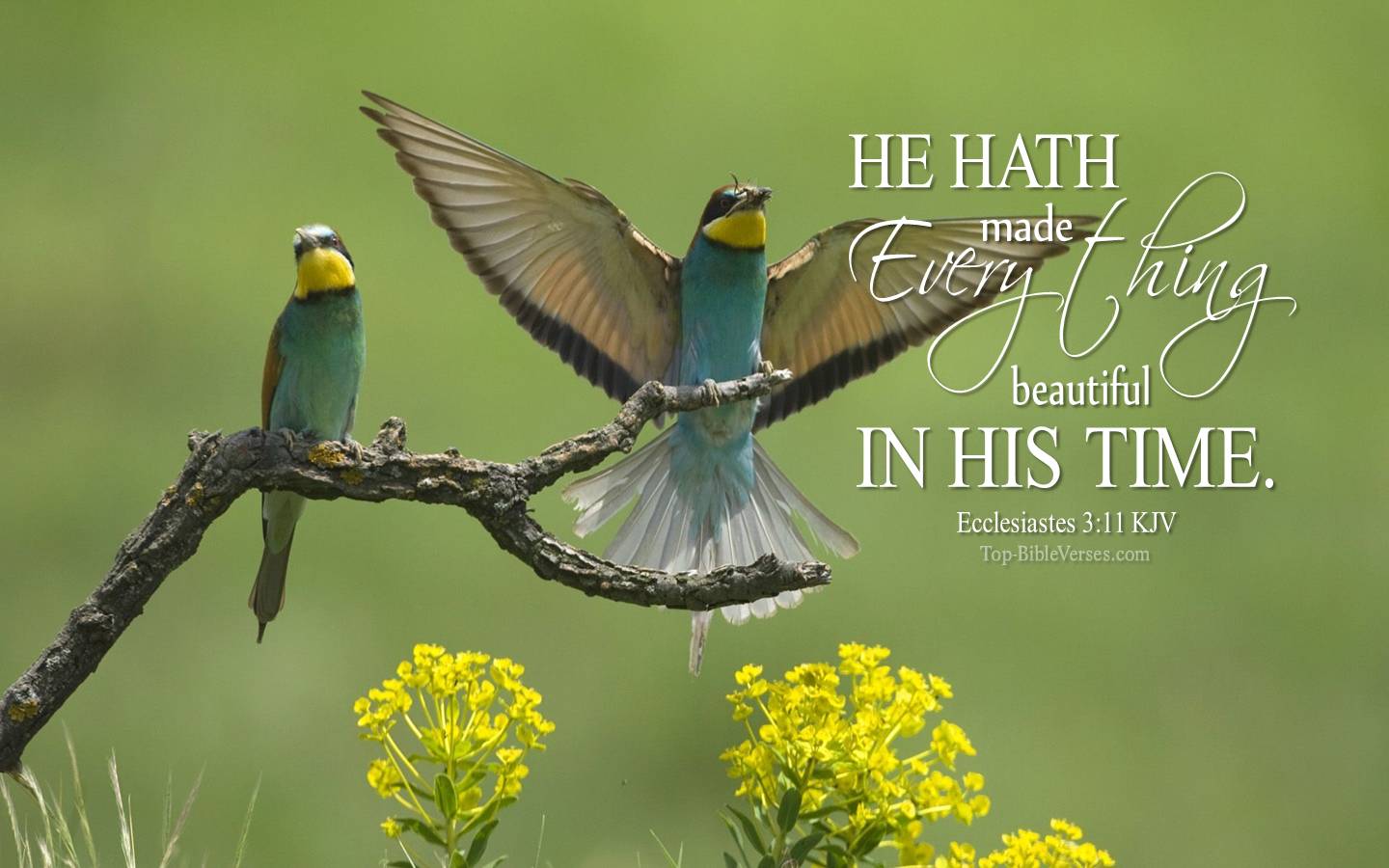 Ecclesiastes 3-11 - He hath made every thing beautiful in his time. KJV Christian Bible Verse Desktop Wallpaper.