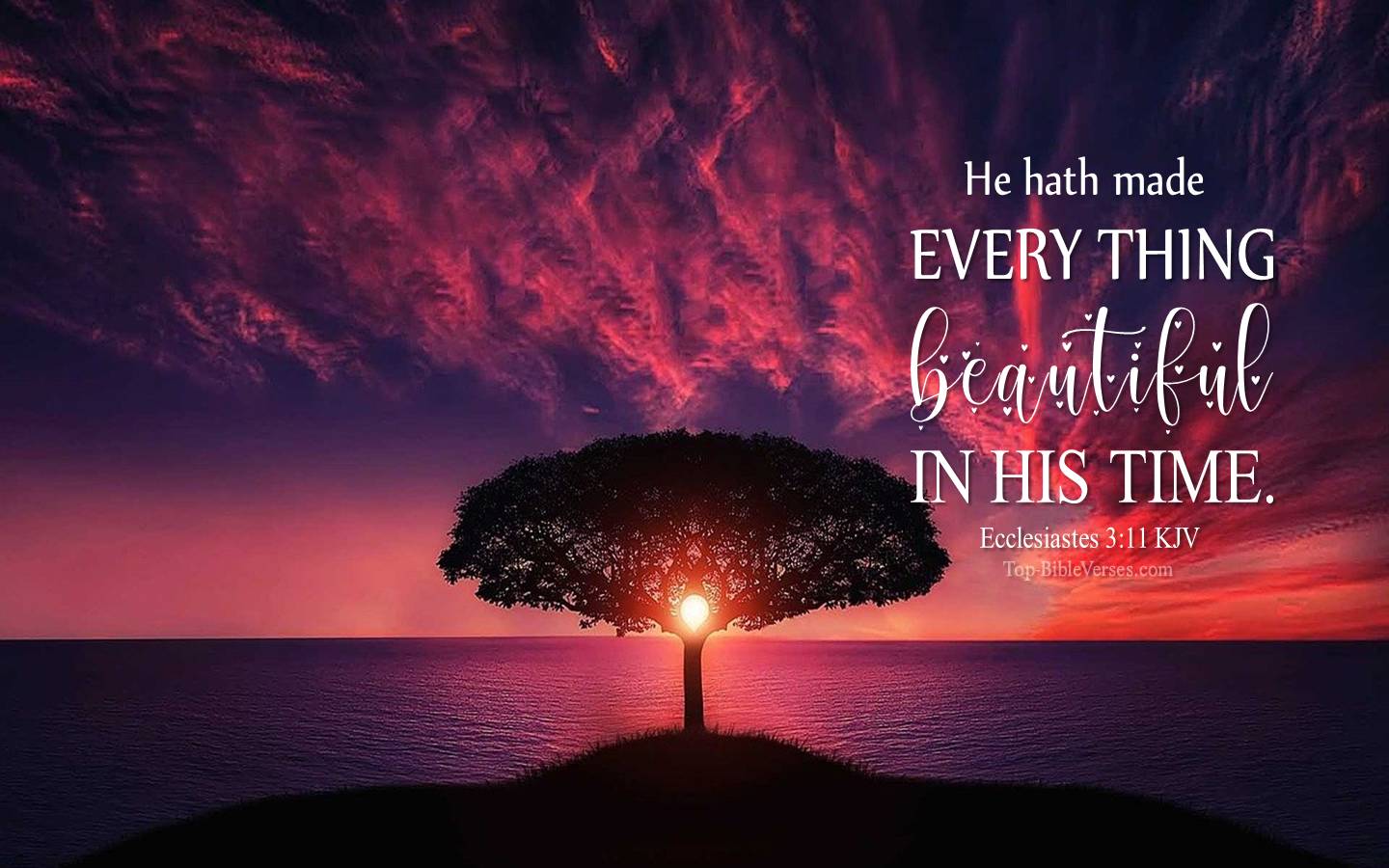 Ecclesiastes 3-11 - He hath made every thing beautiful in his time. KJV Christian Bible Verse Desktop Wallpaper.