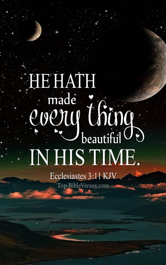 Ecclesiastes 3-11 - He hath made every thing beautiful in his time. KJV Christian Bible Verse Mobile Wallpaper.