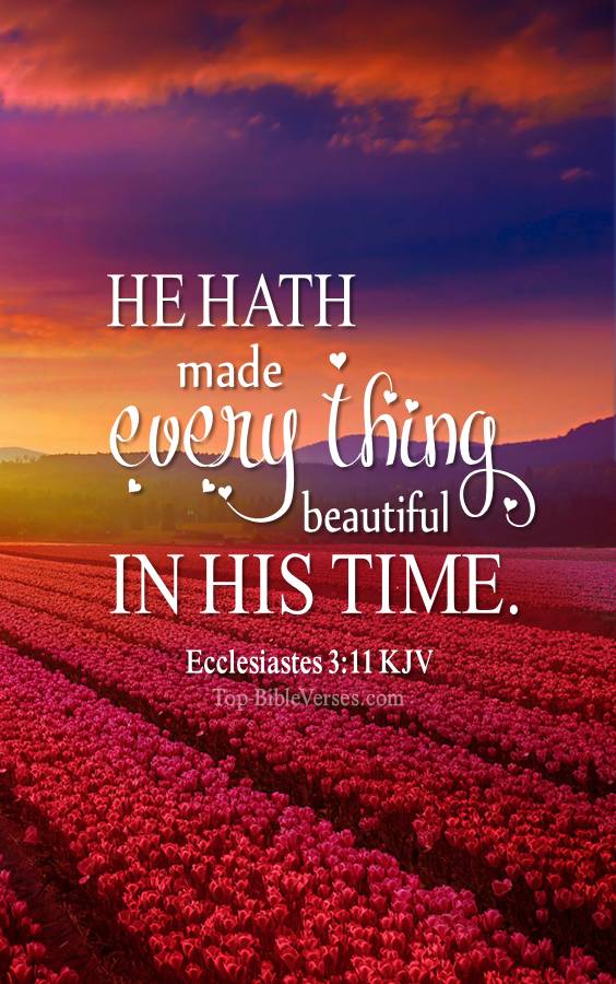 Ecclesiastes 3-11 - He hath made every thing beautiful in his time. KJV Christian Bible Verse Mobile Wallpaper.