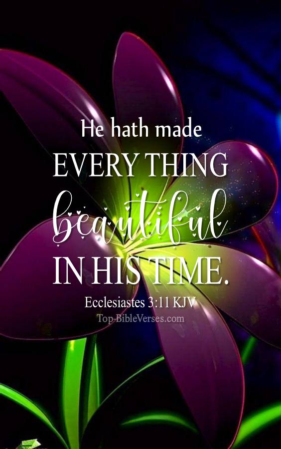 Ecclesiastes 3-11 - He hath made every thing beautiful in his time. KJV Christian Bible Verse Mobile Wallpaper.