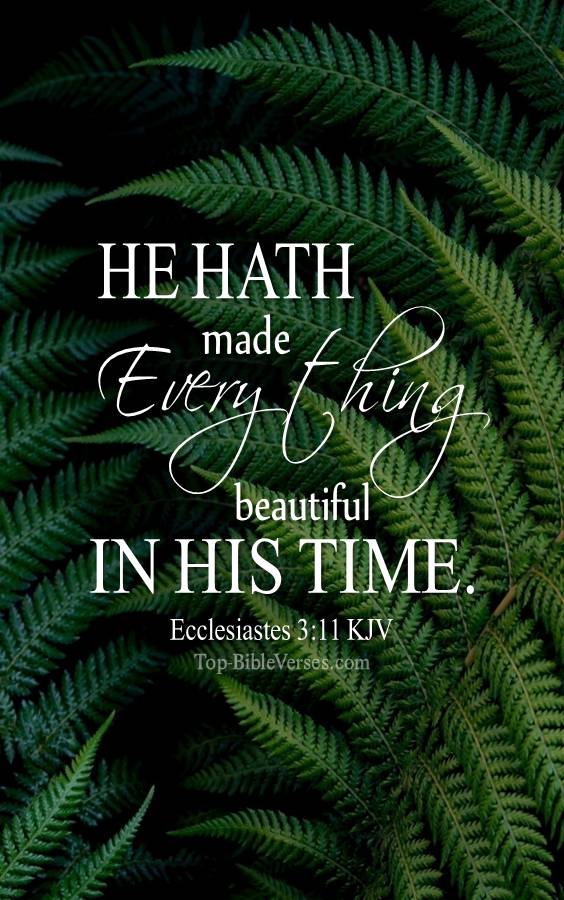 Ecclesiastes 3-11 - He hath made every thing beautiful in his time. KJV Christian Bible Verse Mobile Wallpaper.