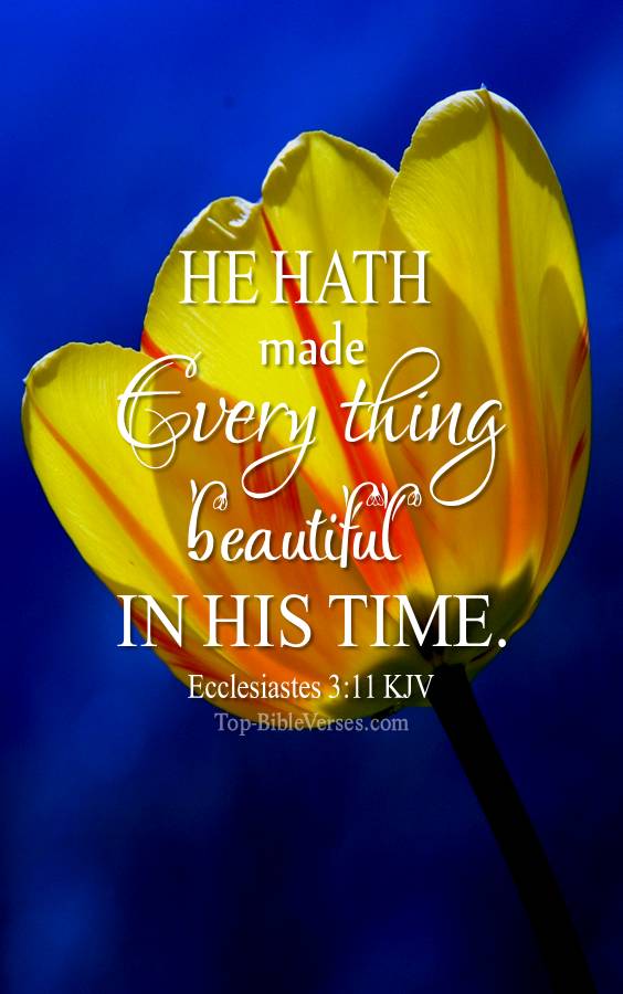Ecclesiastes 3-11 - He hath made every thing beautiful in his time. KJV Christian Bible Verse Mobile Wallpaper.