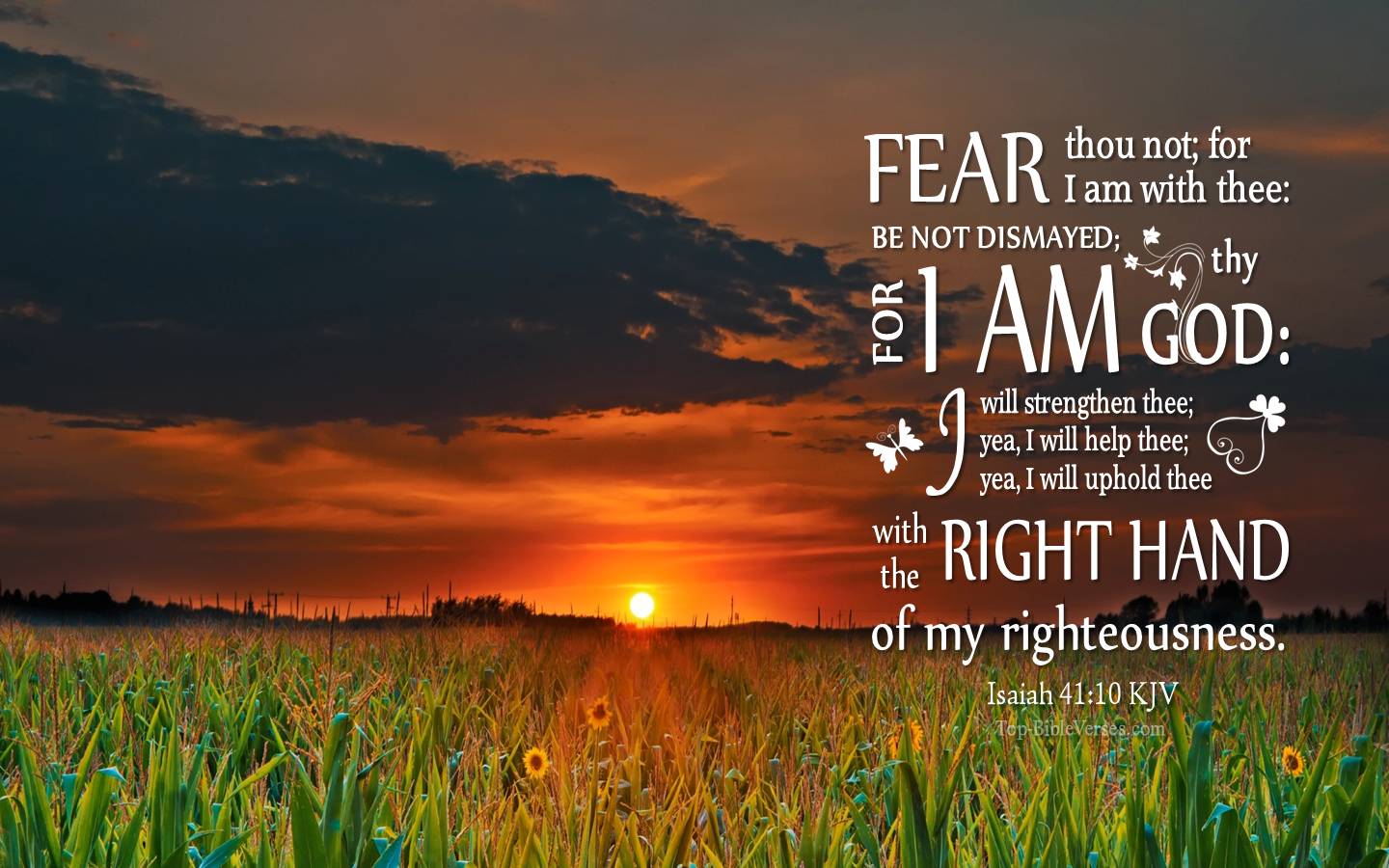 Isaiah 41:10 - Fear thou not; for I am with thee: be not dismayed; for I am thy God. KJV Christian Bible Verse Desktop Wallpaper.